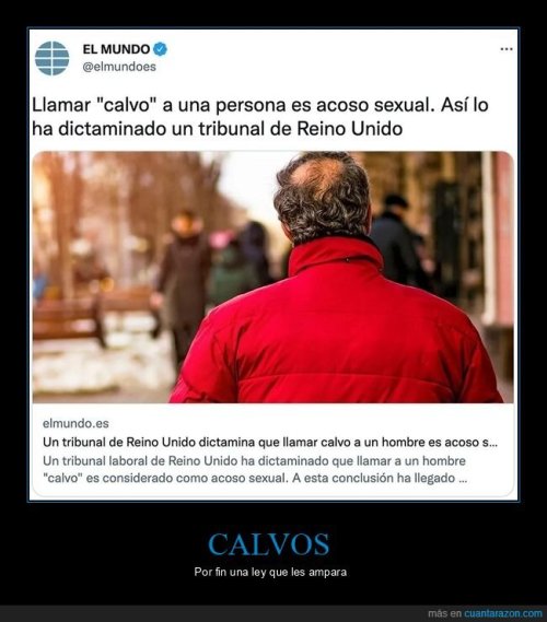 Los calvos de Reino Unido están de enhorabuena https://ift.tt/6ZrSdcY