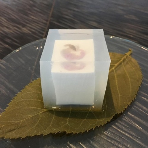 japanese-sweets-2010:★ Mar. 12, 2017Kokonotsu, Tokyo: himuro-dofu (lit. ice room-tofu)——