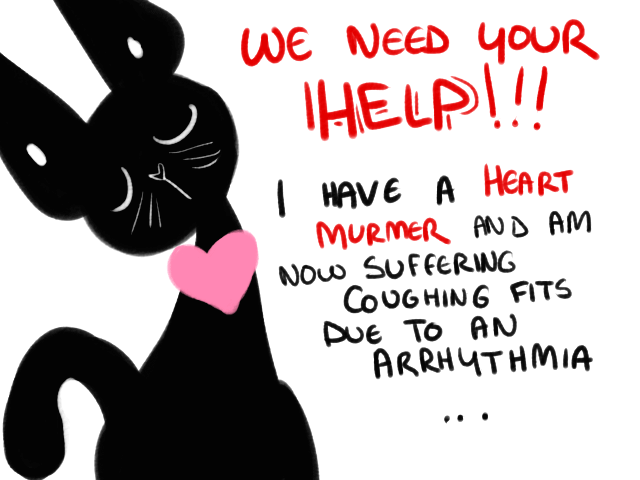 astronym:  PLEASE HELP BART GET HIS ULTRASOUND AND THE MEDICATION HE NEEDS BY DONATING