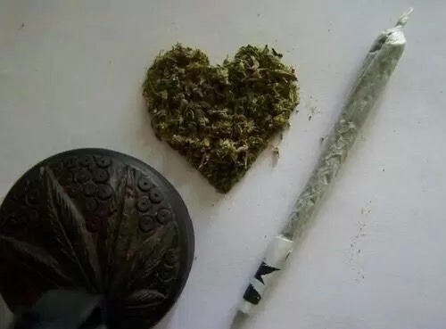 You're Gone & I Gotta Stay High