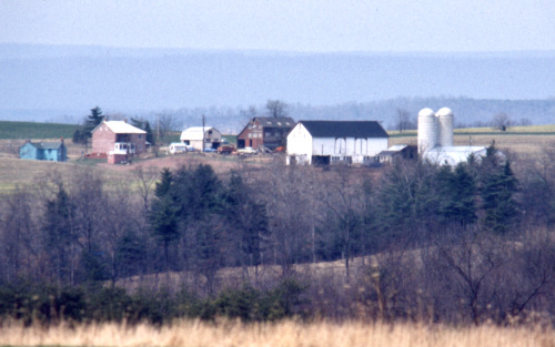 Farm With Numerous Outbuildings, Carroll County, Maryland, 1974.