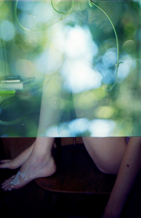 aritakesphotos:  showslow:  Metamorphosis by Arianna Palazzi | www.noair.tumblr.com | www.aritakesphotos.tumblr.com   ♥  