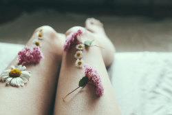 spiritual-loneliness:   	Sleeping flowers by Anna O.  