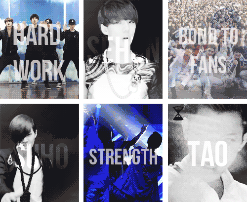 fallenforjongin:  things that make EXO so special and different 