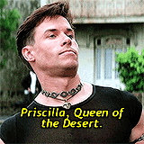 calvincanbie:Favourite Performances: Guy Pearce in The Adventures of Priscilla, Queen of the Desert