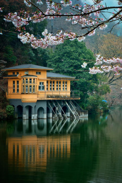  Lakeside With Blossoms -  