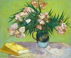 lonequixote:Oleanders and Books ~ Vincent