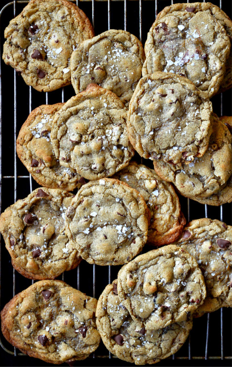 fullcravings:Chewy Chocolate Chip Cookies