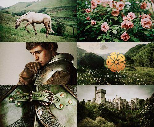 padlme:  a song of ice and fire aesthetics:  W E S T E R O S