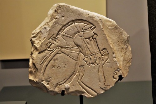 barbucomedie:Limestone Relief of a Nubian Groom and Chariot from El-Kab, Egypt dated between 1390-11