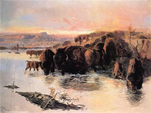 artist-charles-russell: The Buffalo Herd, 1895, Charles M. Russell