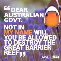 cacao-kai:  Greenpeace Australia, “BREAKING: