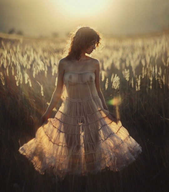transparencydelights:  {tʁɑ̃s.pa.ʁɑ̃s}