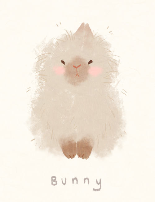 lionhead