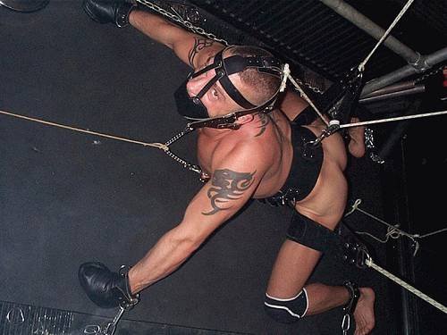 plainfilth:  pigboynbound:  life-as-slave:  controlled existence  Lucky stud!  http://plainfilth.tumblr.com 