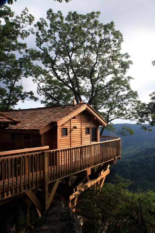 luxuryaccommodations: Tree Houses at Primland Part of a spectacular Blue Ridge Mountain resort, the Tree Houses at Primland immerse guests in the area’s magnificent natural beauty while providing first-class amenities such as flat-screen TVs, plush