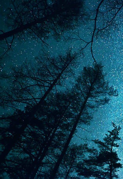 earthdaily:  Milky Way > by Alexandr Gryzlov 