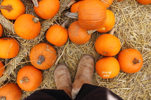 starry-niqht:i went pumpkin picking <3ig: starry.niqht ♡