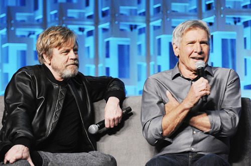 harrisonforddaily:Harrison Ford and Mark Hamill attend the 40 Years of Star Wars panel during the 20