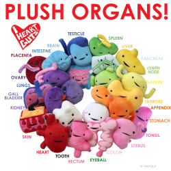 omotpees:  torpiss:  iheartguts: From the top of your brain to
