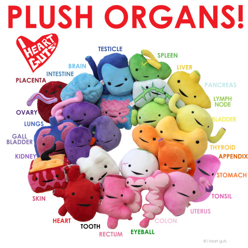 iheartguts:From the top of your brain to the bottom of your rectum, we’ve got all your body parts in