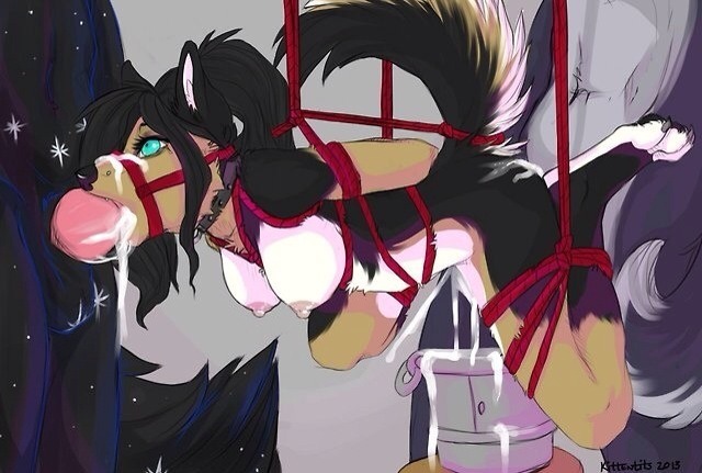 furryfurspot:  Furry Purrfection #21: Even More Bondage, because being tied up and