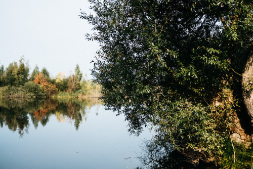 kaivor: Stille, die man sieht…