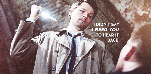  {quote} 