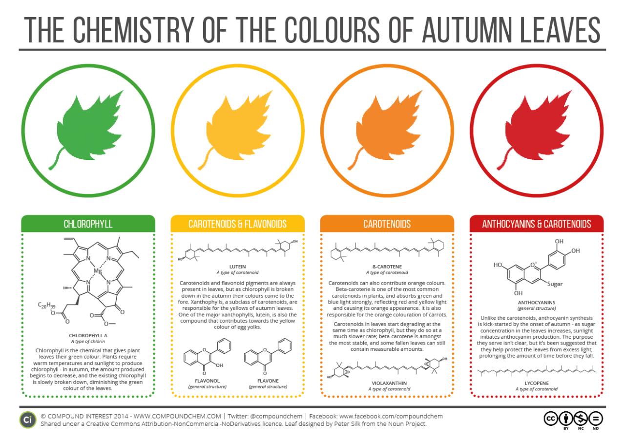 compoundchem: It’s the first day of autumn in the northern hemisphere; brush up