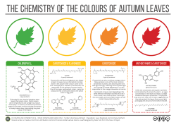 compoundchem: It’s the first day of autumn in the northern hemisphere; brush up on your autumn colour chemistry with this graphic! 