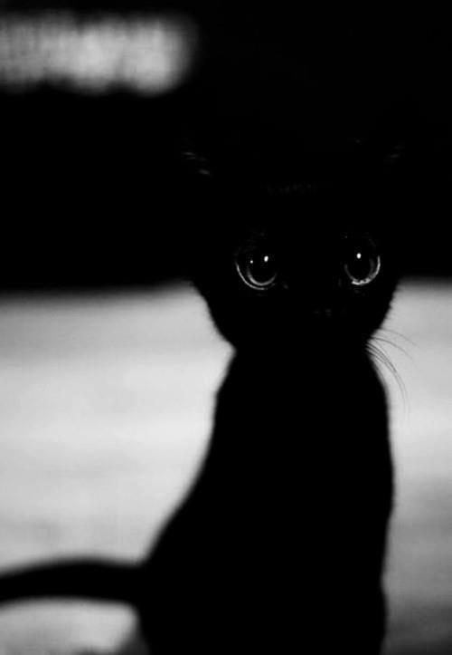 My Own Monster