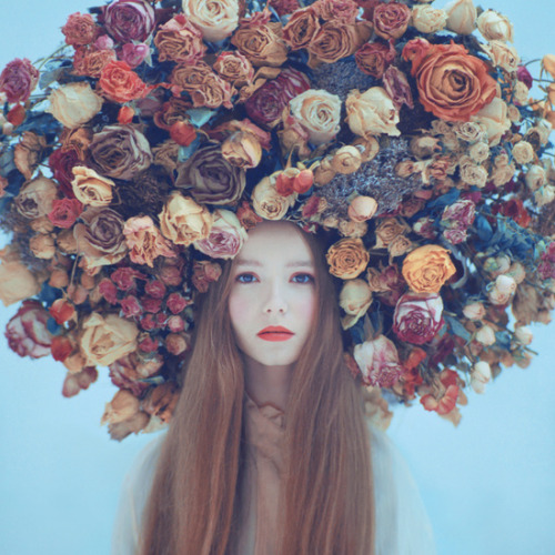 Oprisco Photography facebook / Twittermore cool art here