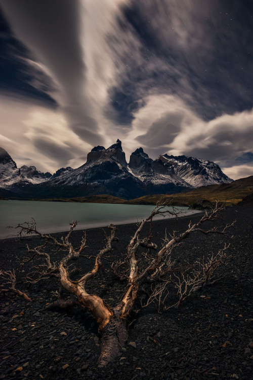 Solitary Spectator by Artur Stanisz. (via Solitary Spectator by Artur Stanisz / 500px) More Landscap