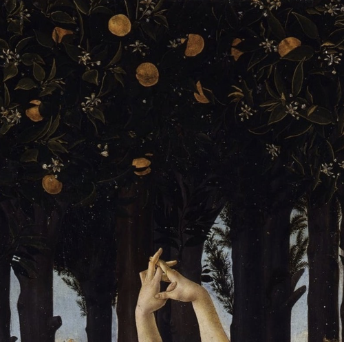 vinsantohotel:Detail of “Primavera” by Italian Renaissance master Sandro Botticelli