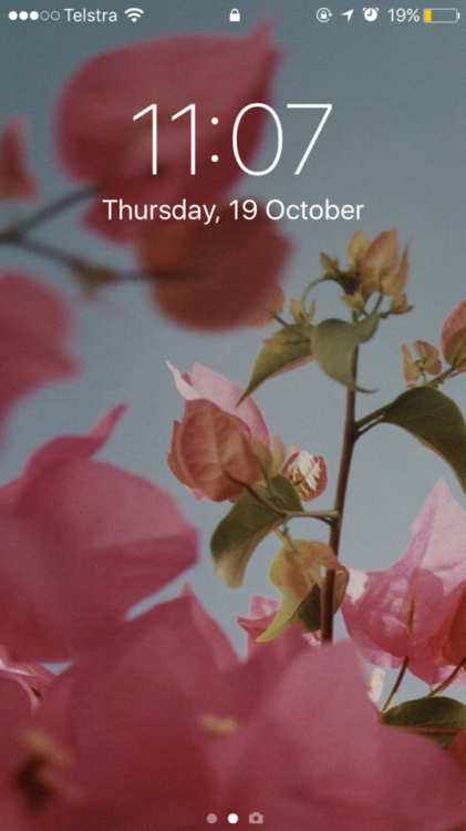 #149 Pardon my absence! Here are some floral wallpapers, as it’s spring where I am 