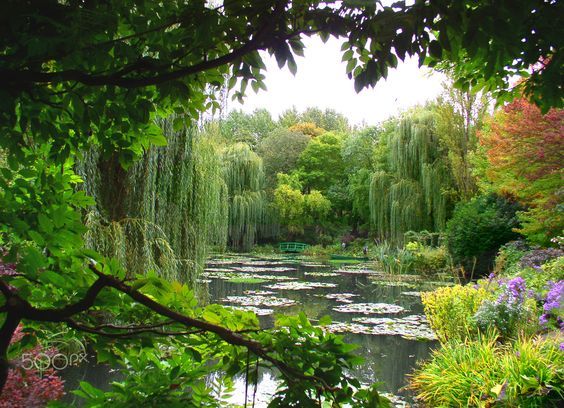 silvaris:   Monet’s garden at Giverny, France by Cherry Lynn Young   