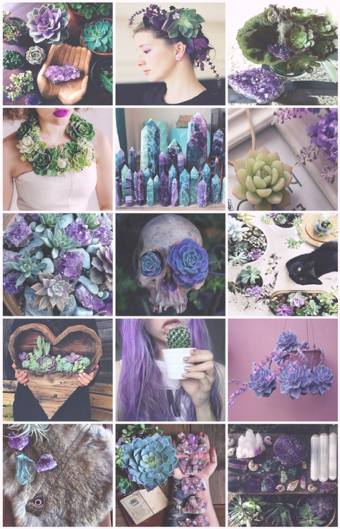 aestheticschaos:Succulents Witch aesthetic