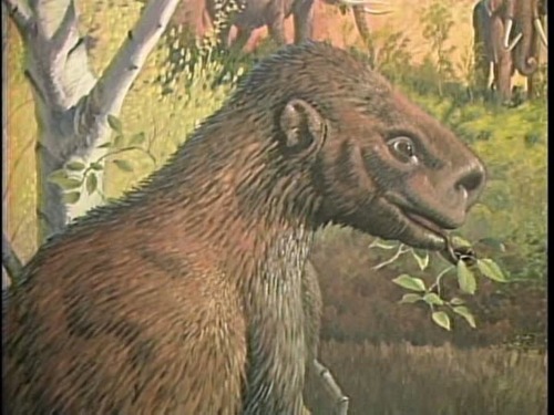 Can you take a shot at identifying this prehistoric creature for me please?The snout doesn’t fit and