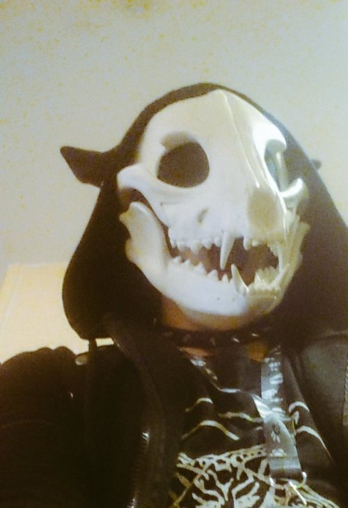 thefingerfuckingfemalefury:  priestessamy: witnesstheabsurd: New looks GOOD LOOK  AESTHETIC