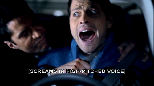 bitchgerkassbut:  Subtitles 