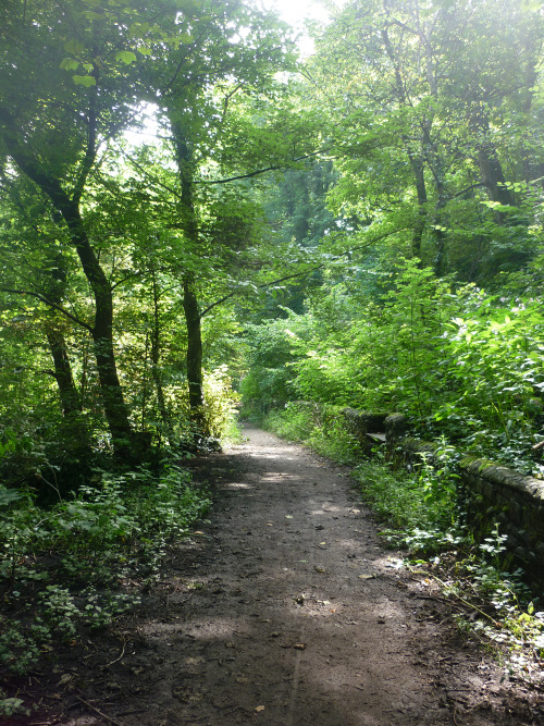 out for a stroll in Llandaff