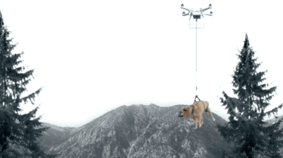 gifsboom:Walking Dog with Drone. [video][Cyborg Monkey]