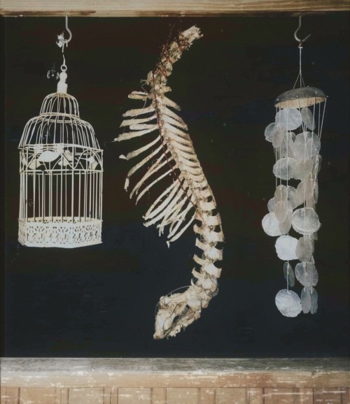Haunted Brain