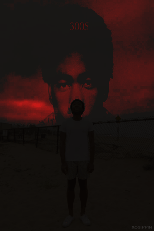 xosippin:  3005 