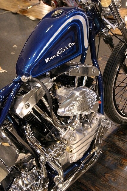sportbob:  Support Your Local Freeloader