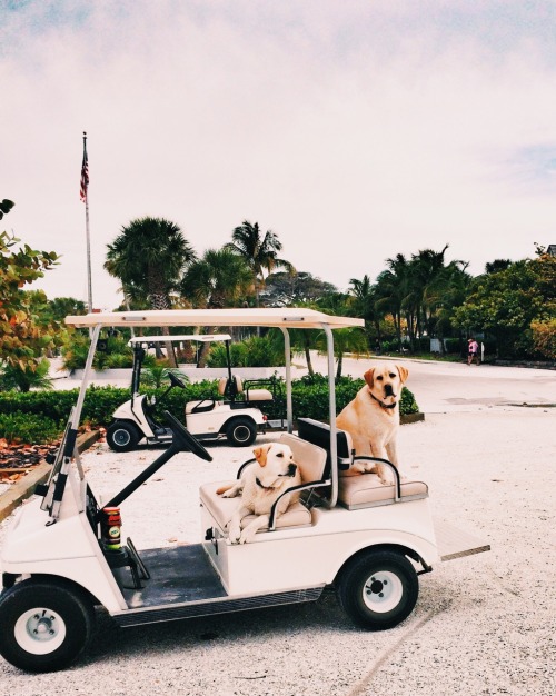 http://travel-paradise-world.tumblr.com/post/124023298443