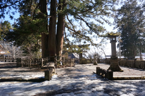 戸隠神社、奥社は雪深く行けませんでした…。美味しいお蕎麦食べて日光浴。2020.3