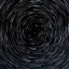 celestial-willow-forest