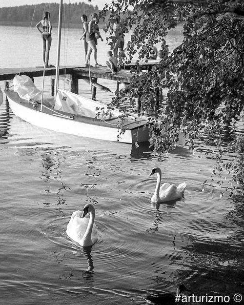 By the lake #summermemories #analogphotography #filmphotography #filmnotdead #istillshootfilm #kentm