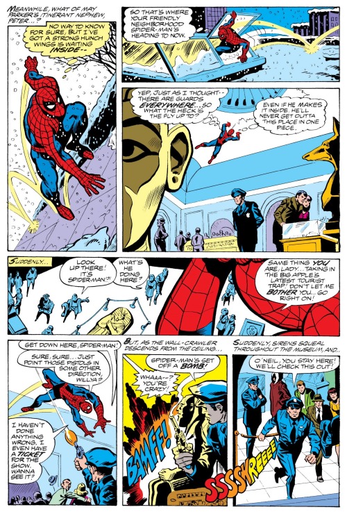 Spider-Man vs. Human Fly.[from The Amazing Spider-Man (1963) #193]